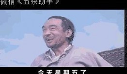 国产性图,探索我国科技发展的新篇章