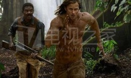 国产大片黄,国产大片中的璀璨明珠