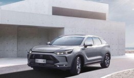 2020国产精品久久精品