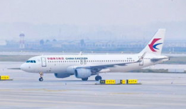 国产四级,引领中国电影新潮流