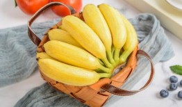 大香蕉大香蕉国产,探寻神秘国度的魅力与传奇