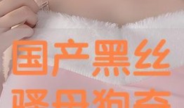 国产黑骚,揭秘我国黑色产业背后的秘密与挑战