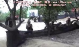 国产野战视频,展现中国军人英勇风采与实战智慧