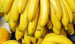 大香蕉伊国产,探寻神秘国度的奇幻之旅