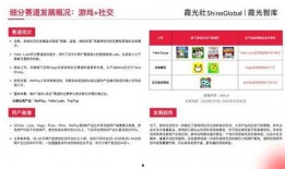 国产56页,揭秘中国自主研发的先进技术