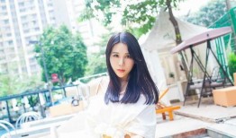 国产精品自在线,探索国内影视作品的魅力与风采