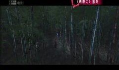 国产精品大陆在视频,影视盛宴，展现中国魅力