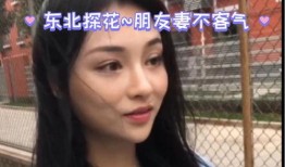 东北国产在线视频,国产在线视频的精彩呈现